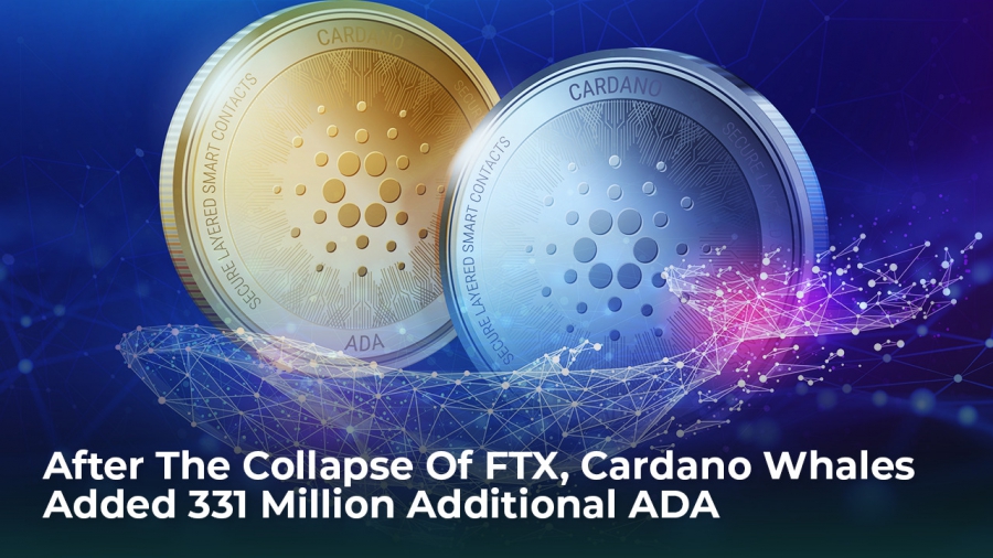 پس-از-فروپاشی-صرافى-ftx،-نهنگ-هاى-كاردانو-33-میلیون-ada-اضافه-کردند- 